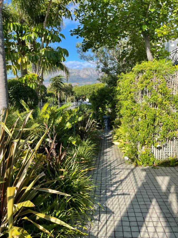 Constantiaberg Eco-Villa Cape Town Eksteriør bilde